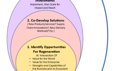 From incrementalism to prototyping: a practical strategy to support business as a force for good.